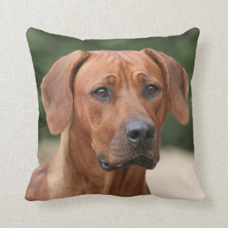 Rhodesian Ridgeback kiss Cushion