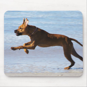 Rhodesian Ridgeback - Leap Mouse Mat