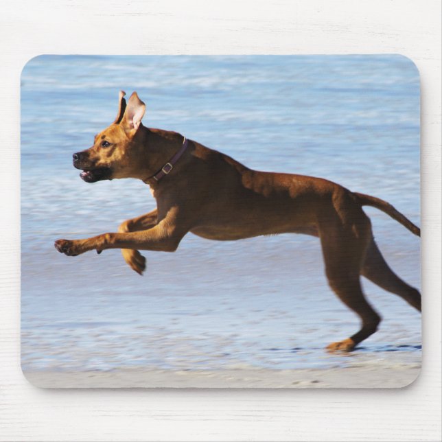 Rhodesian Ridgeback - Leap Mouse Mat (Front)