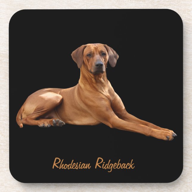 Rhodesian Ridgeback mats (set of 6 stuks) Coaster (Front)