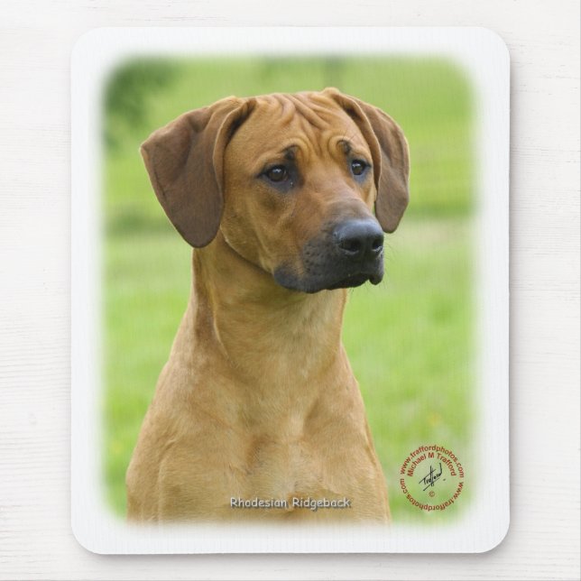 Rhodesian Ridgeback Mouse Mat (Front)