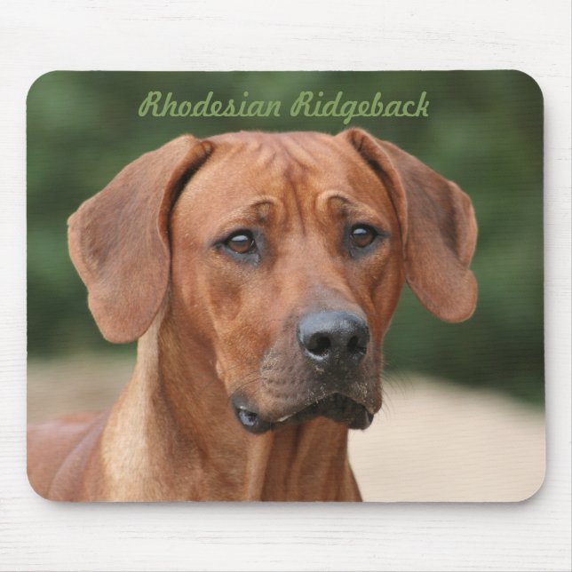Rhodesian Ridgeback mousepad (Front)