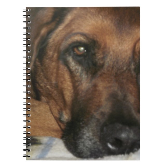 Rhodesian Ridgeback Notebook (Front)