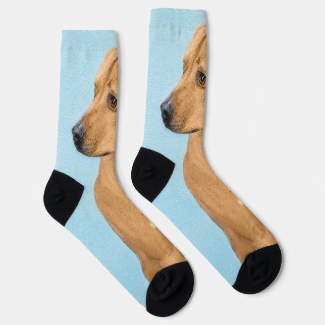 Rhodesian Ridgeback Painting - Original Dog Art Socks (Right)