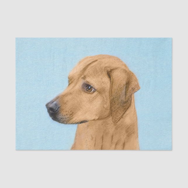 Rhodesian Ridgeback Painting - Original Dog Art Tissue Paper (Front)