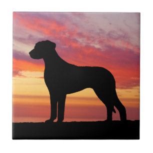 Rhodesian Ridgeback Persimmon Sunset Silhouette Tile