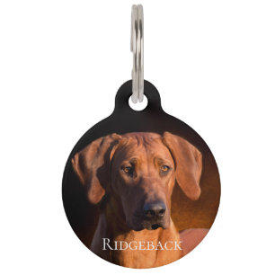 Rhodesian Ridgeback Pet Tag
