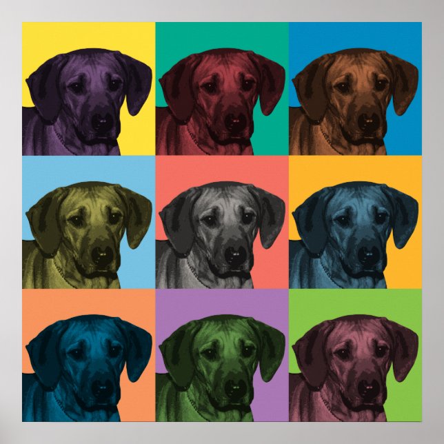 Rhodesian Ridgeback Pop Art Poster (Front)