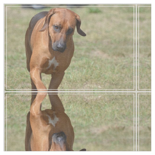 Rhodesian Ridgeback Prancing Fabric (Close Up)