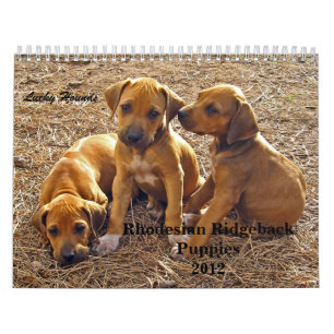 Rhodesian Ridgeback Puppies 2012 Calendar