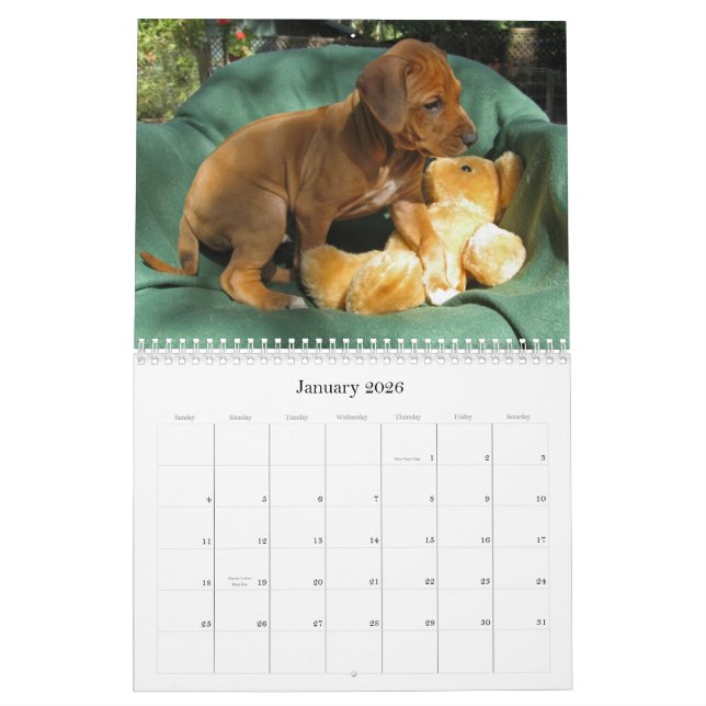 Rhodesian Ridgeback Puppies 2012 Calendar (Jan 2026)
