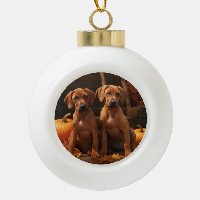 Rhodesian Ridgeback Puppy Autumn Delight Pumpkin  Ceramic Ball Christmas Ornament (Front)
