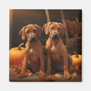 Rhodesian Ridgeback Puppy Autumn Delight Pumpkin Magnet