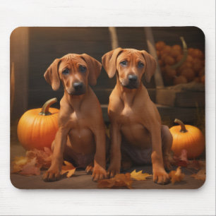 Rhodesian Ridgeback Puppy Autumn Delight Pumpkin Mouse Mat