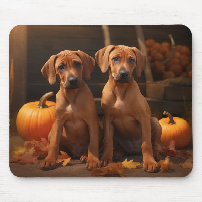 Rhodesian Ridgeback Puppy Autumn Delight Pumpkin  Mouse Mat (Front)