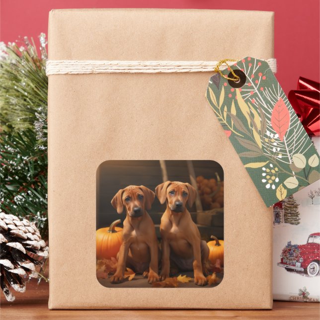 Rhodesian Ridgeback Puppy Autumn Delight Pumpkin  Square Sticker (Holiday)