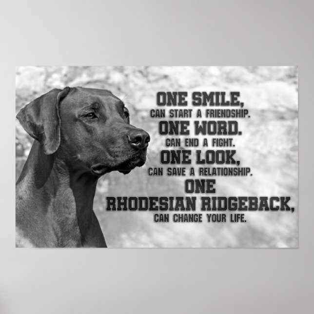 Rhodesian Ridgeback Quotes Poster (Front)