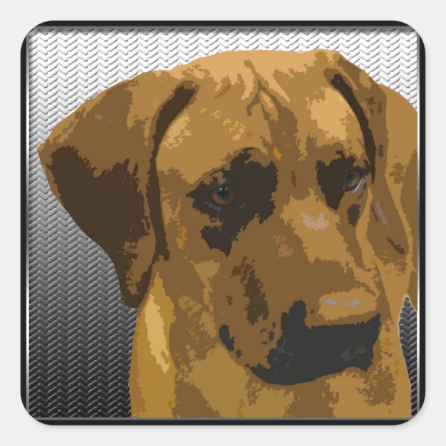 Rhodesian Ridgeback Square Sticker (Front)