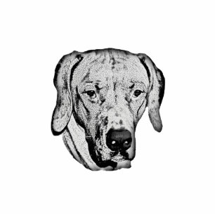 Rhodesian Ridgeback Standing Photo Sculpture