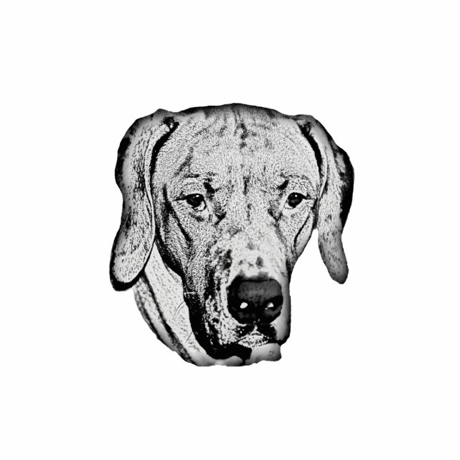 Rhodesian Ridgeback Standing Photo Sculpture (Front)