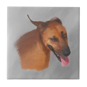 Rhodesian Ridgeback  Tile