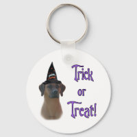 Rhodesian Ridgeback Trick