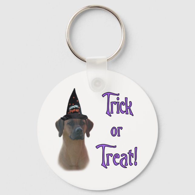 Rhodesian Ridgeback Trick Key Ring (Front)
