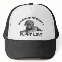 Rhodesian Ridgeback