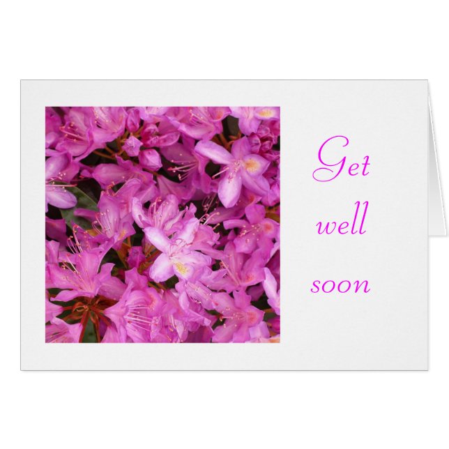 rhododendron (Front Horizontal)