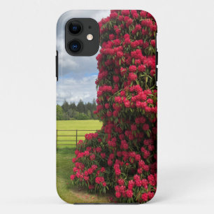 Rhododendron and Scenic View in Scotland iPhone 11 Case