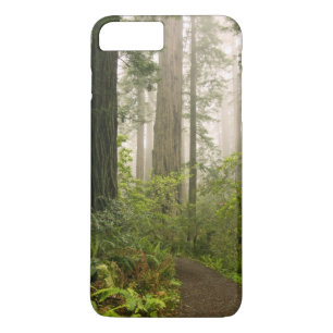 Rhododendron blooming among the Coast Redwoods / iPhone 8 Plus/7 Plus Case