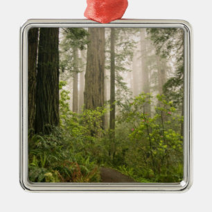 Rhododendron blooming among the Coast Redwoods / Metal Tree Decoration