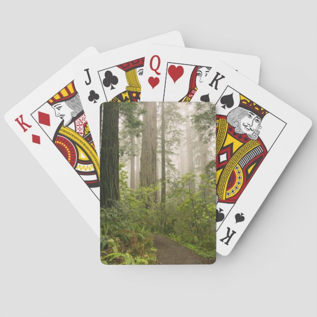 Rhododendron blooming among the Coast Redwoods / Playing Cards (Back)