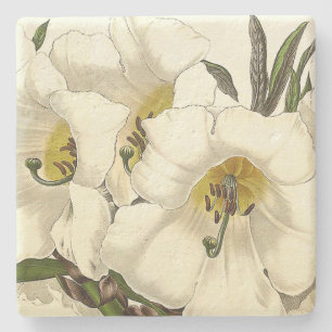 Rhododendron Floral Flowers Stone Coaster