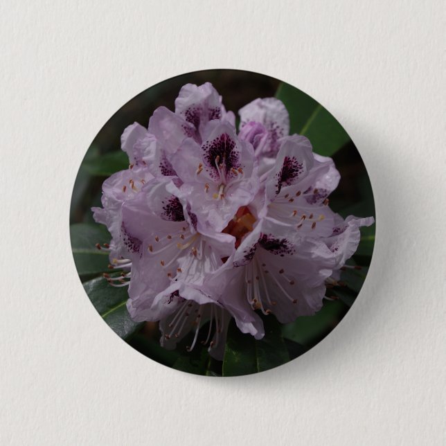 Rhododendron Flower Badge (Front)