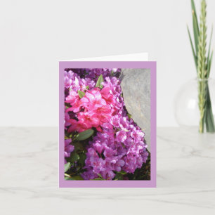 Rhododendron Flowers greeting card