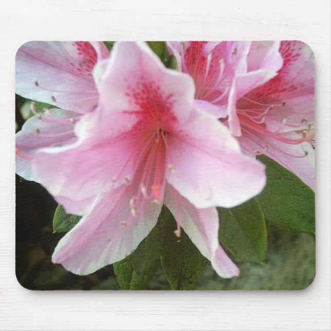 Rhododendron Flowers Mouse Mat (Front)