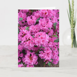 Rhododendron in Full Bloom! Card