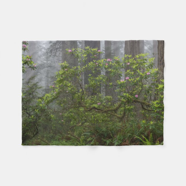 Rhododendron in Redwood National Park California Fleece Blanket (Front (Horizontal))