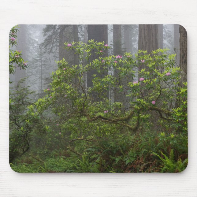 Rhododendron in Redwood National Park California Mouse Mat (Front)