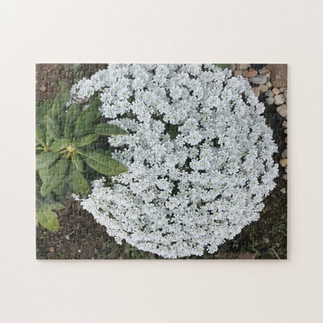 Rhododendron Leaves Candy Tufts Flowers Puzzles (Horizontal)