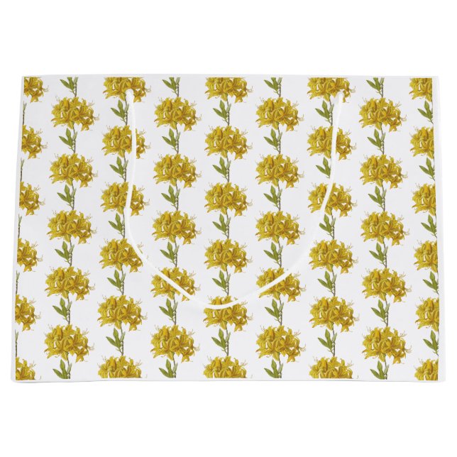 Rhododendron luteum (Pontic Azalea) Large Gift Bag (Front)