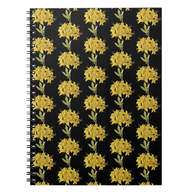 Rhododendron luteum (Pontic Azalea) Notebook (Front)
