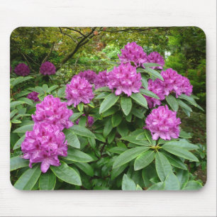 Rhododendron Ponticum Mouse Mat
