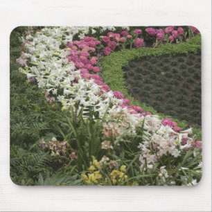 Rhododendron (Rhododendron catawbiense) Heath Mouse Mat