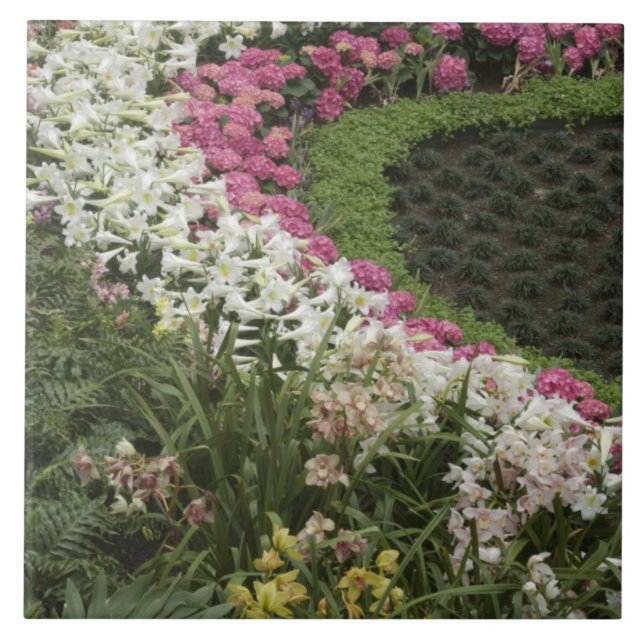 Rhododendron (Rhododendron catawbiense) Heath Tile (Front)
