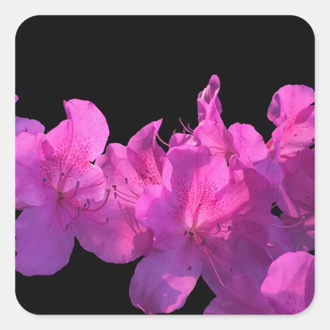 Rhododendron Square Sticker (Front)
