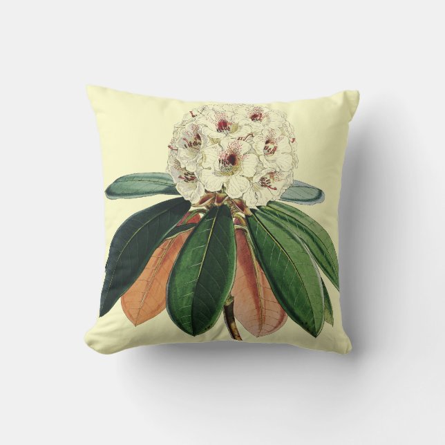 Rhododendron vintage botanical illustration cushion (Front)