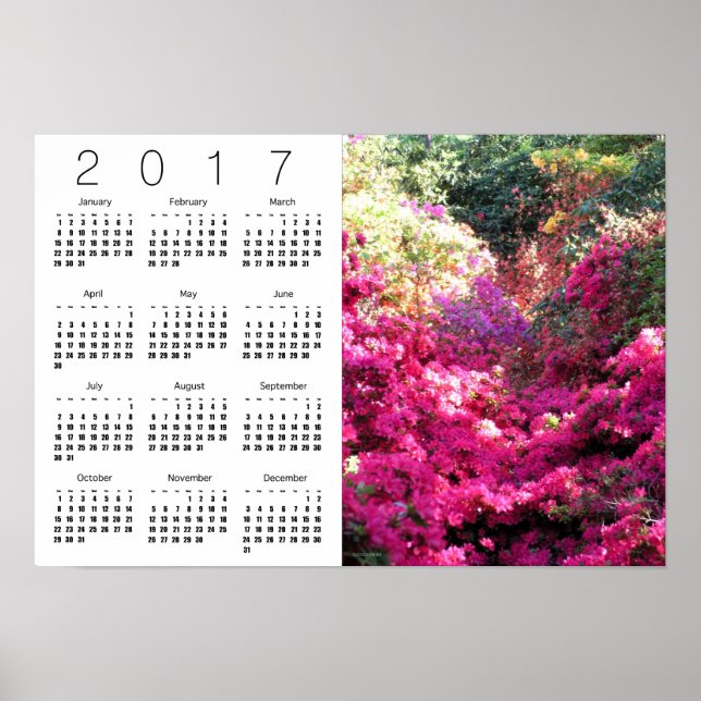 Rhododendron White Calendar Poster 2017 (Front)