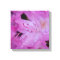 Rhododendron Wrapped Canvas